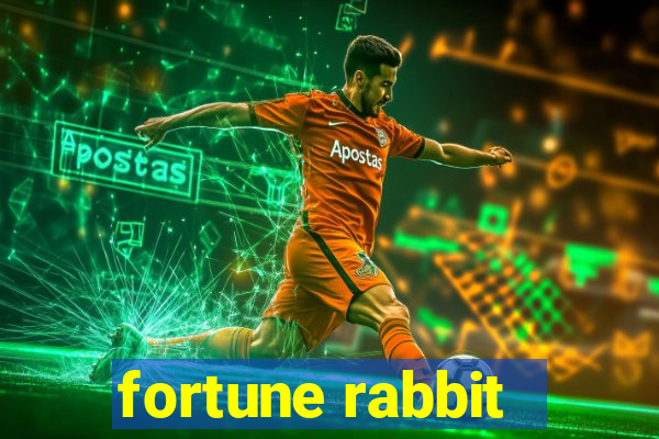 fortune rabbit - teste